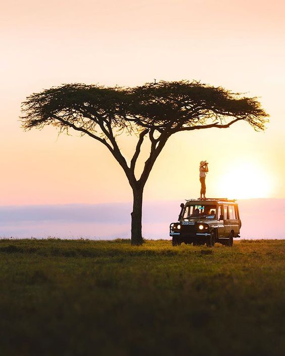 Game Drives in Queen Elizabeth National Park