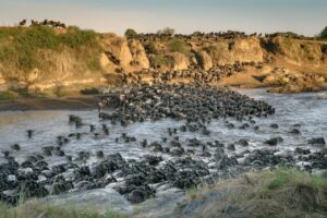 7 Days Wildebeest Migration Safari