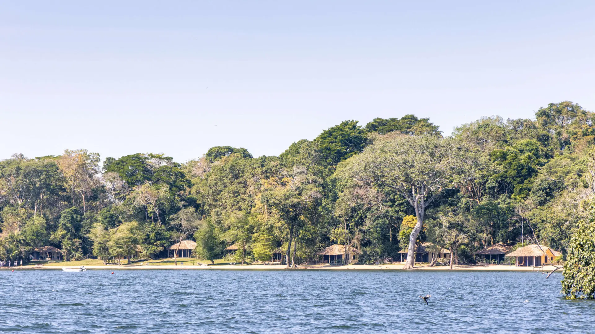 12 Days Primates of Tanzania & Rwanda Adventure