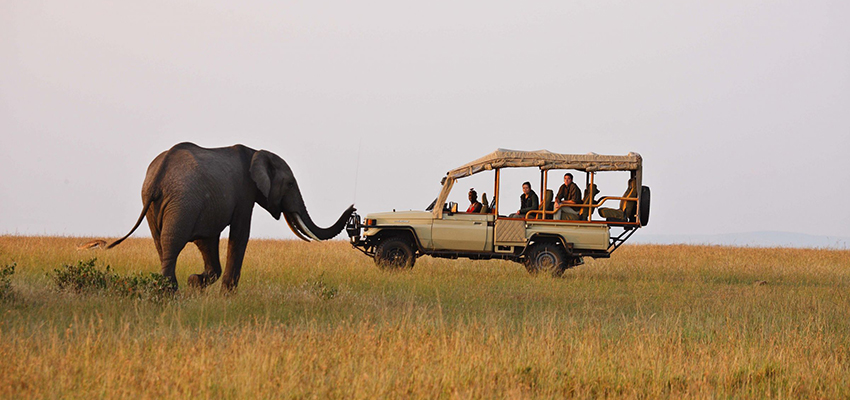 12 Days Discover Kenya Safari