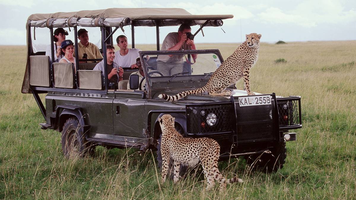 What is The Masai Mara Famous For?