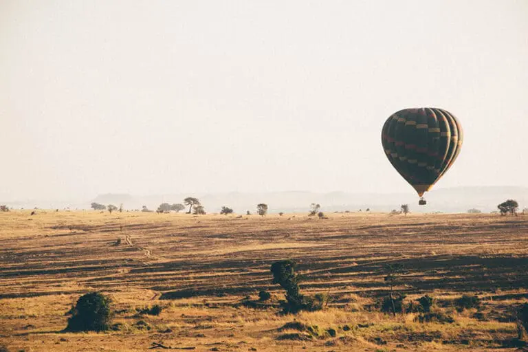 6 Days Amboseli, Lake Nakuru & Masai Mara Private Safari