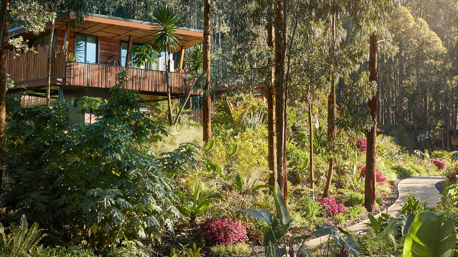 One&Only Gorilla’s Nest