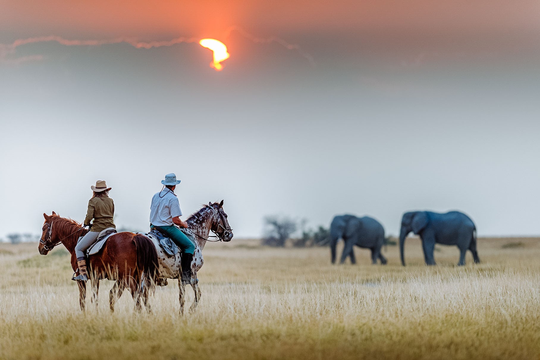 Horseback Safari in Kenya