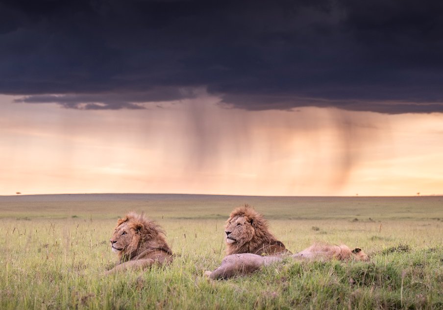 10 Days Amboseli, Masai Mara and Zanzibar Holiday
