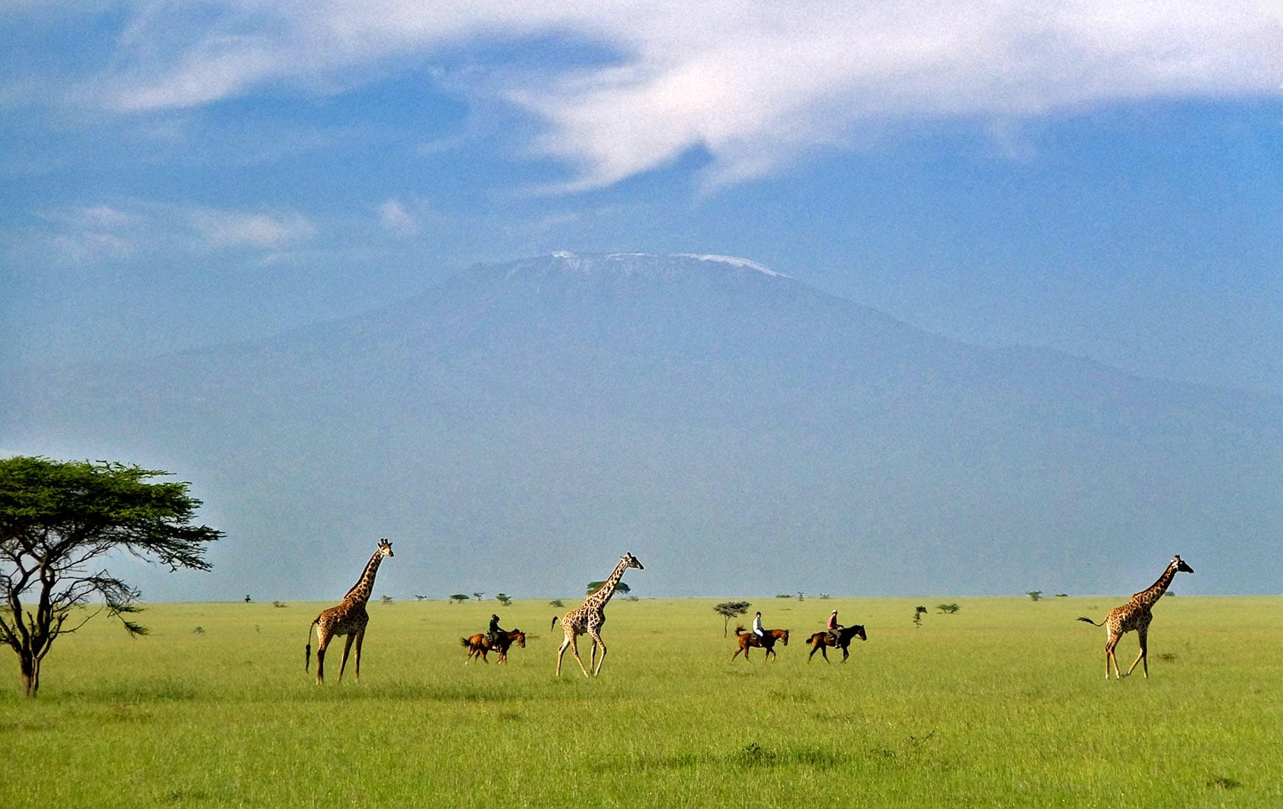 Horseback Safari in Kenya