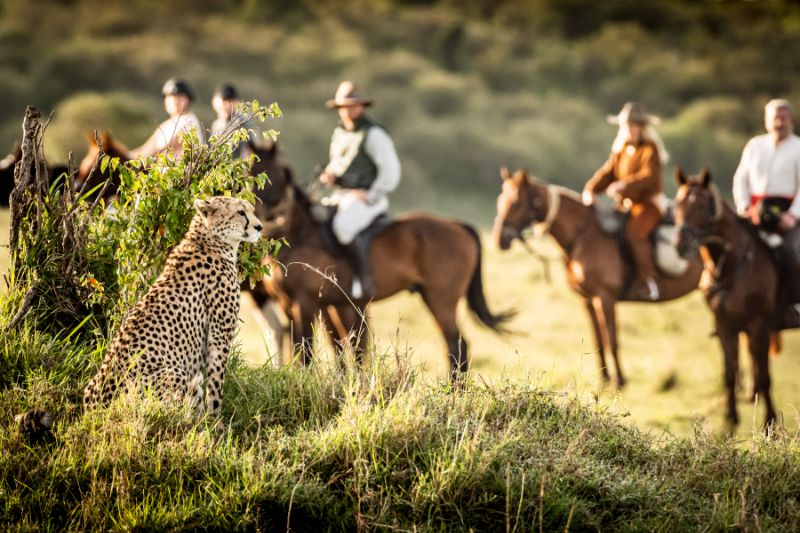 Horseback Safari in Kenya  